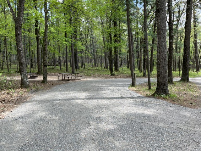 Site 16, photo 2 of 3 · from wisconsin.goingtocamp.com (the park's booking system)
