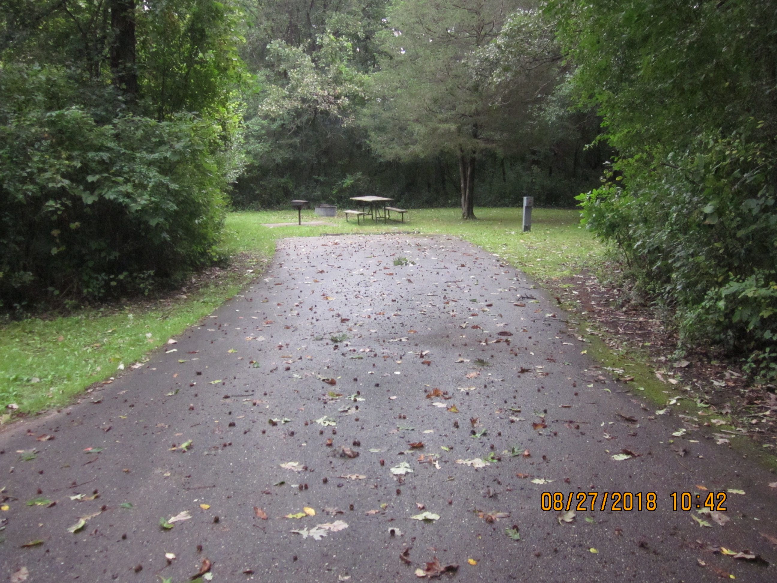 Site 331, photo 3 of 4 · from wisconsin.goingtocamp.com (the park's booking system)
