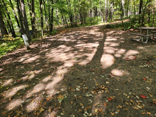 Site 18, photo 2 of 3 · from wisconsin.goingtocamp.com (the park's booking system)