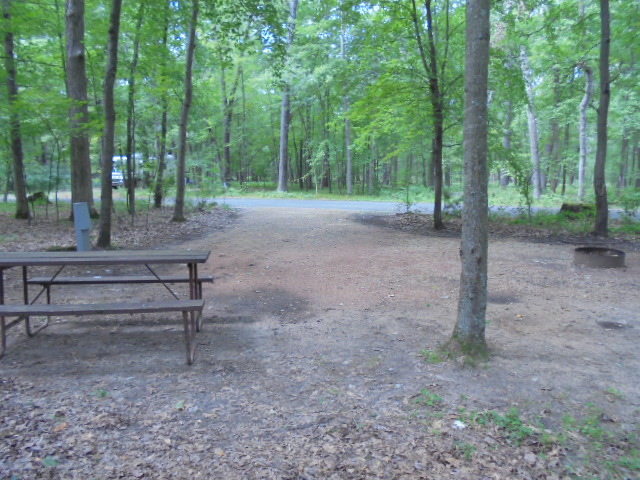Site 14, photo 3 of 4 · from wisconsin.goingtocamp.com (the park's booking system)