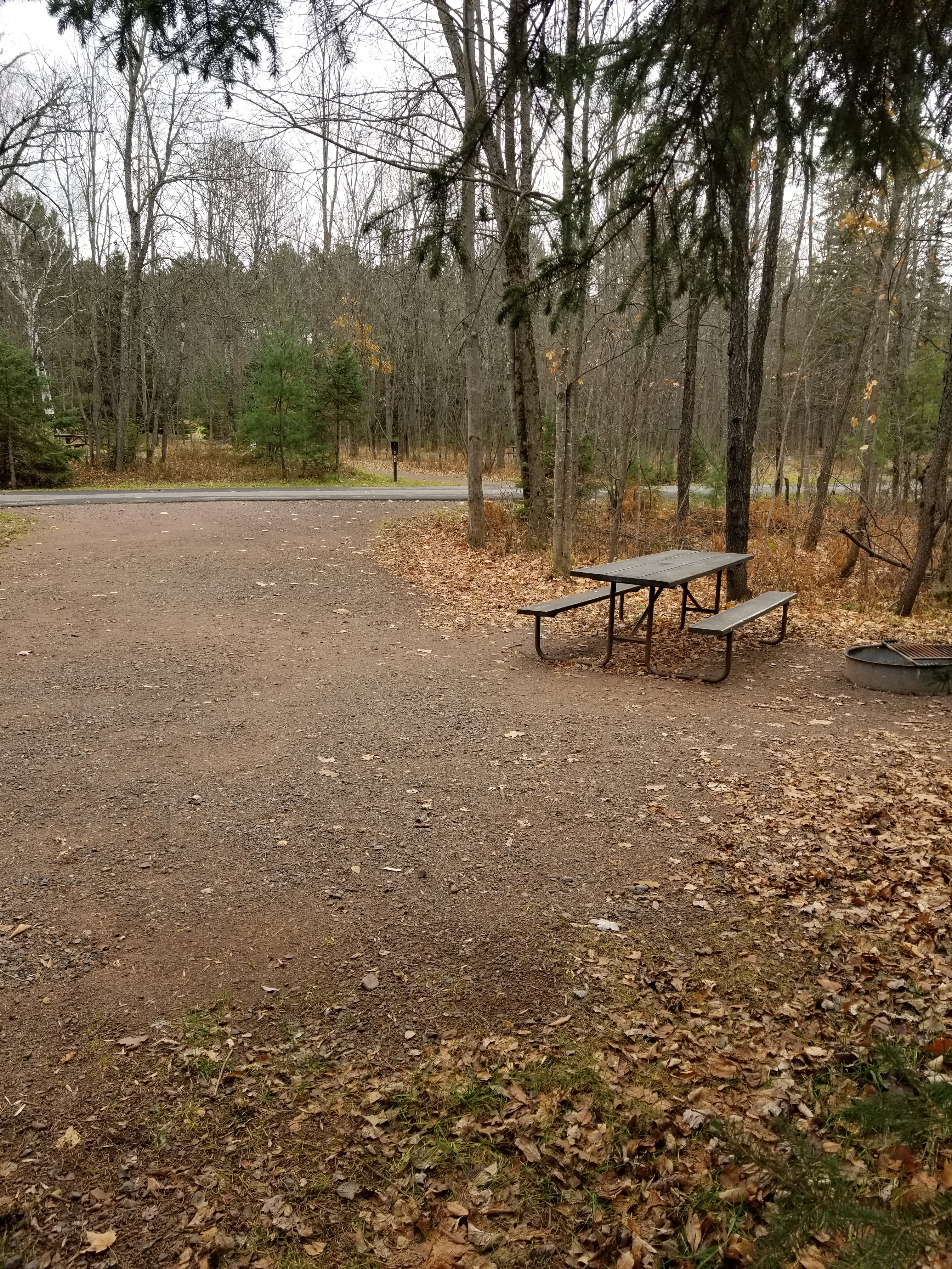 Site 1, photo 3 of 4 · from wisconsin.goingtocamp.com (the park's booking system)