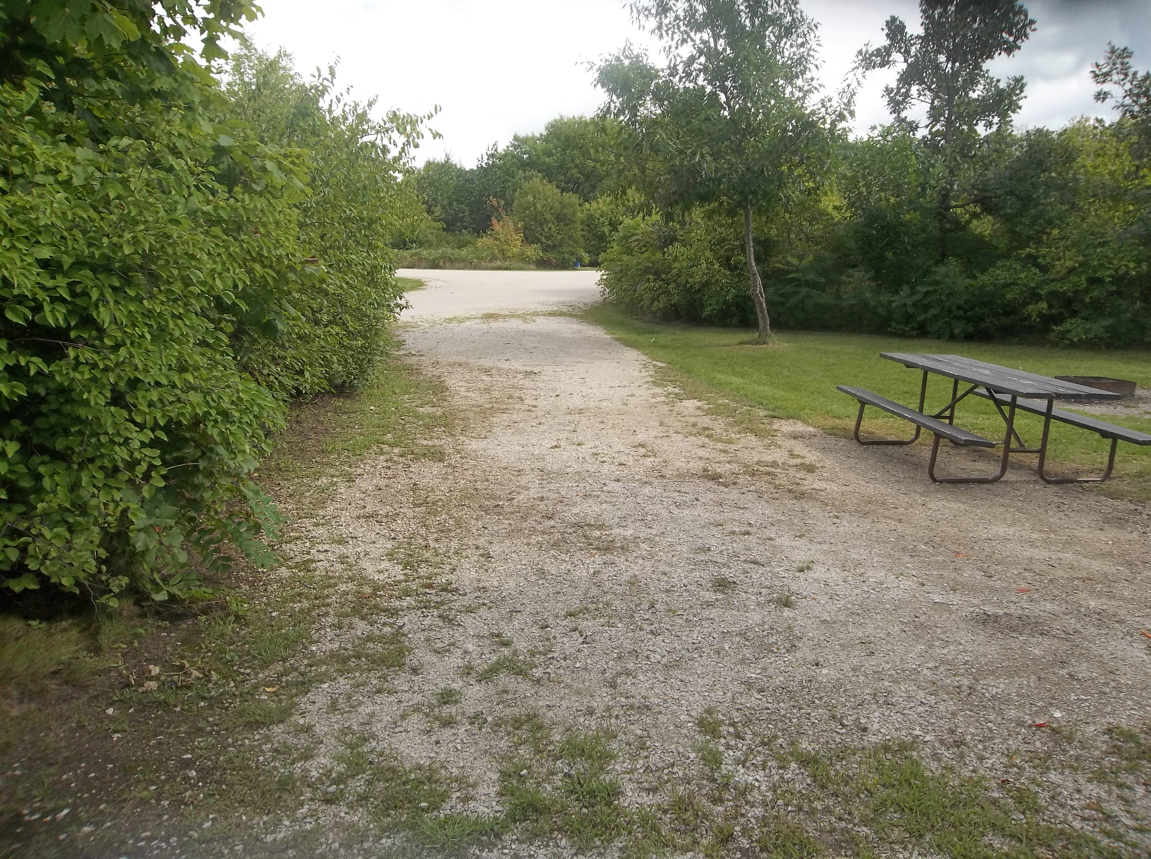Site 395, photo 2 of 3 · from wisconsin.goingtocamp.com (the park's booking system)
