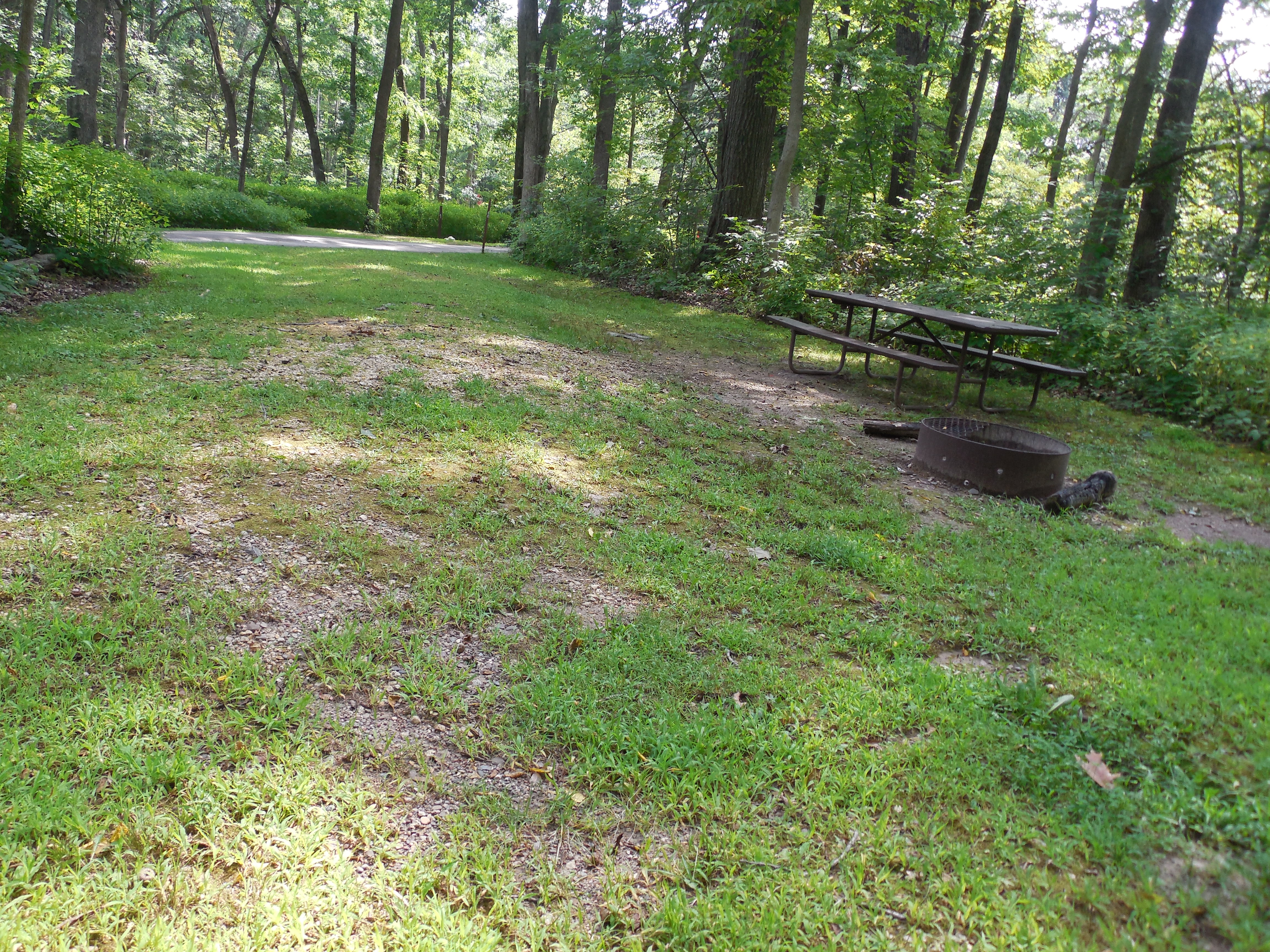 Site 40, photo 3 of 3 · from wisconsin.goingtocamp.com (the park's booking system)