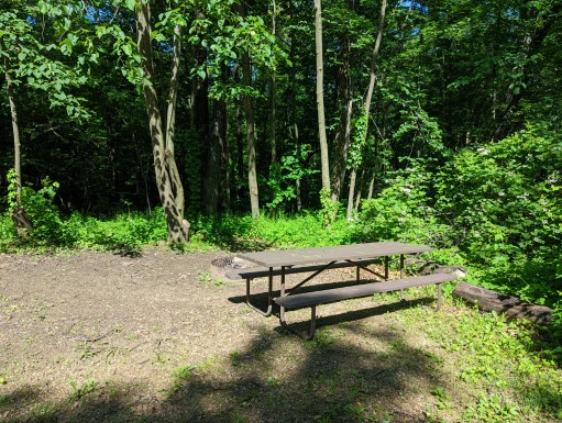 Site 32, photo 2 of 3 · from wisconsin.goingtocamp.com (the park's booking system)