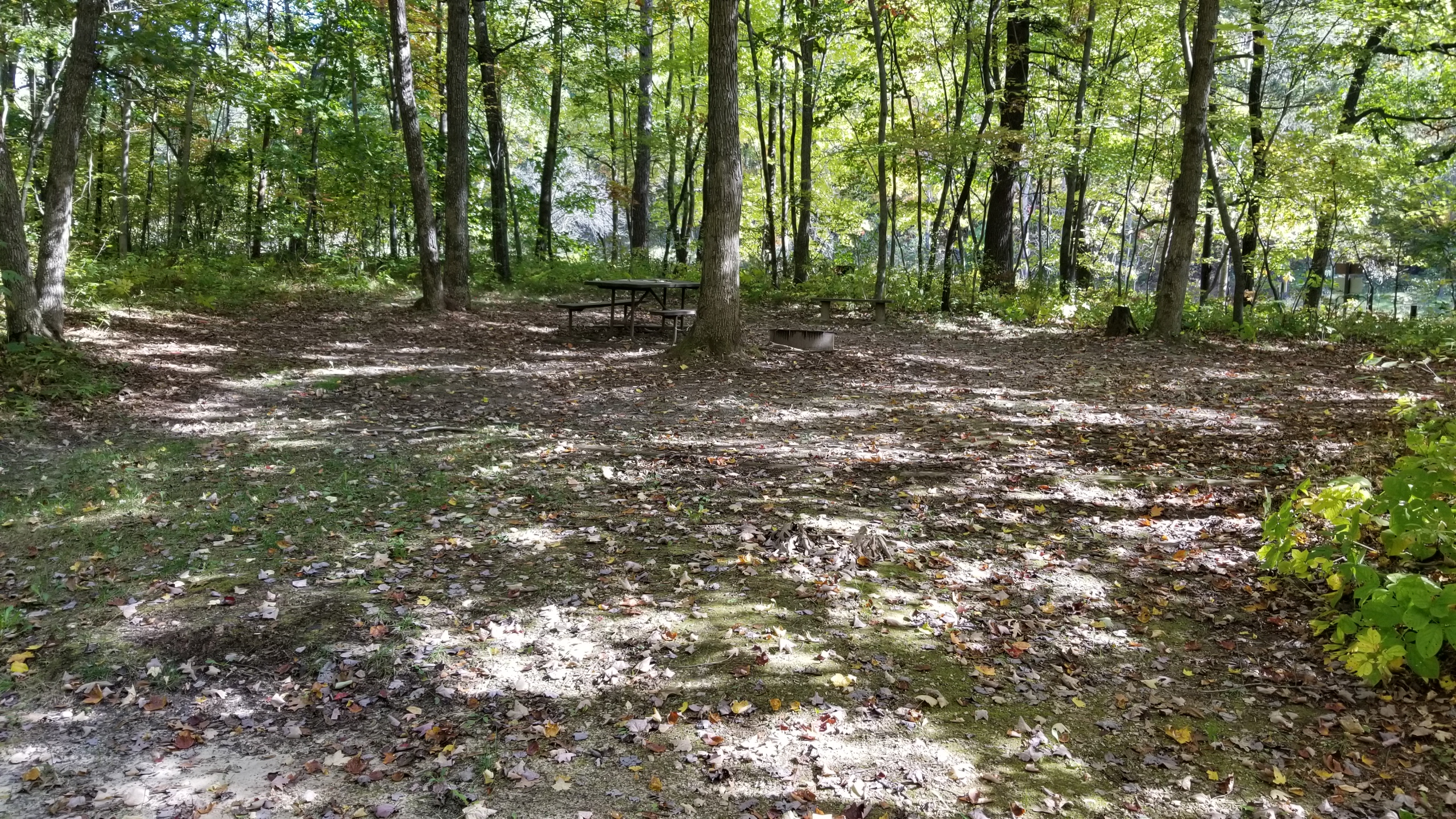 Site 2, photo 2 of 4 · from wisconsin.goingtocamp.com (the park's booking system)