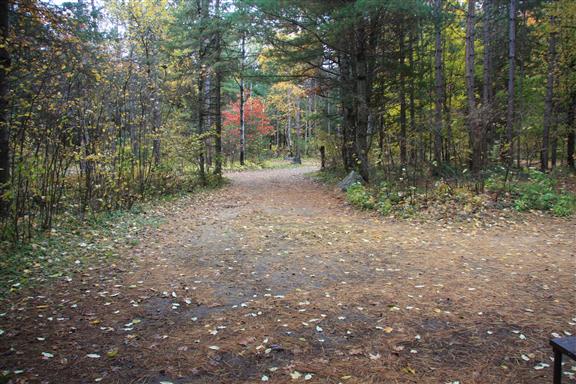 Site 454, photo 2 of 3 · from wisconsin.goingtocamp.com (the park's booking system)