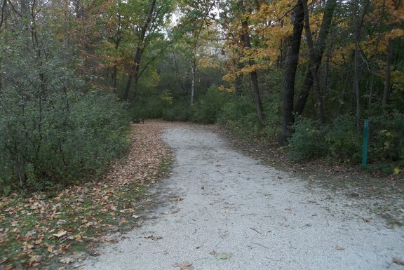 Site 205, photo 2 of 4 · from wisconsin.goingtocamp.com (the park's booking system)