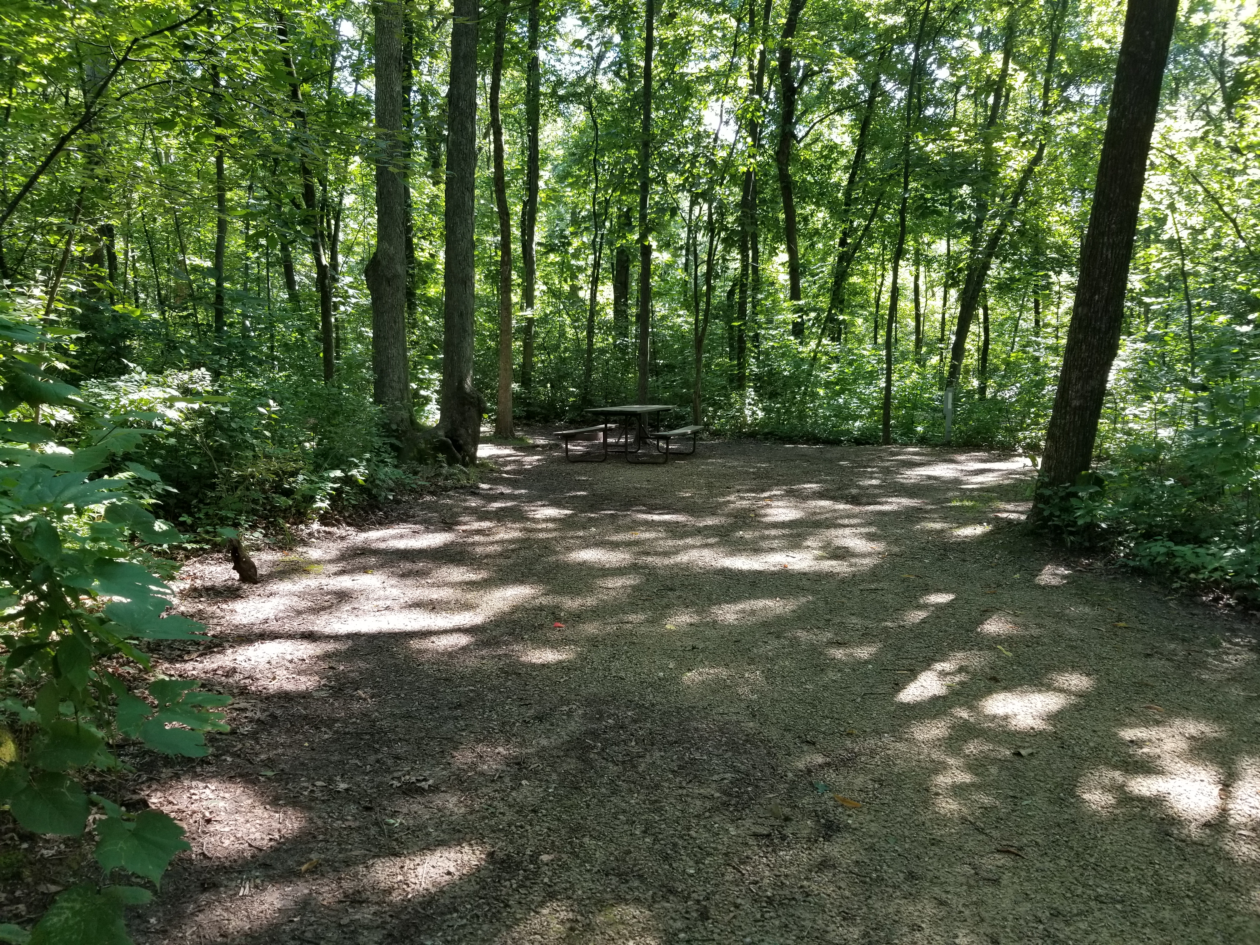 Site 74, photo 2 of 3 · from wisconsin.goingtocamp.com (the park's booking system)