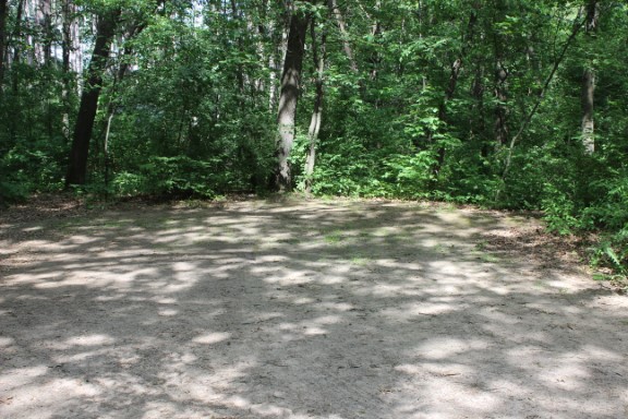 Site 82, photo 2 of 3 · from wisconsin.goingtocamp.com (the park's booking system)