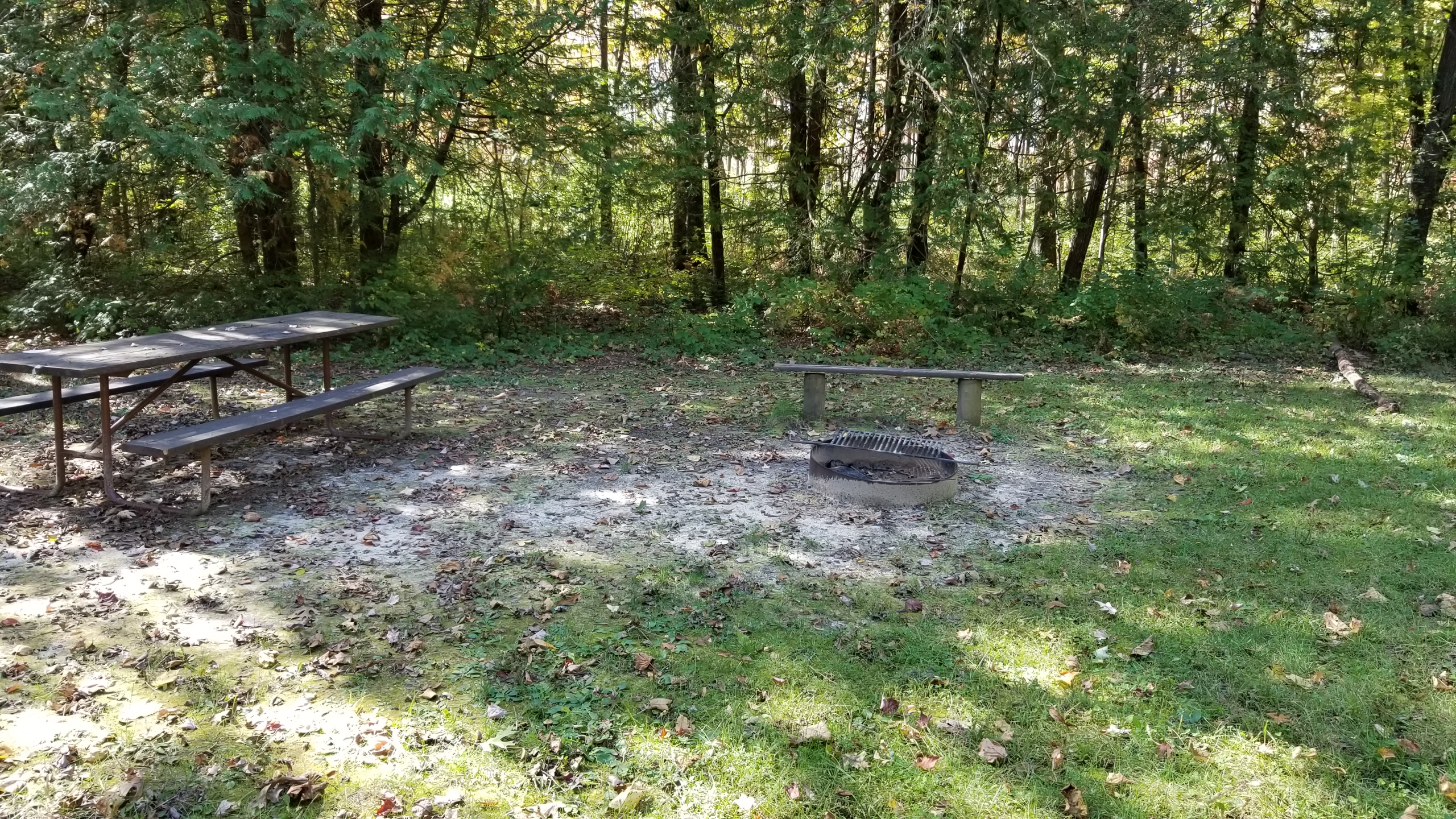 Site 18, photo 3 of 4 · from wisconsin.goingtocamp.com (the park's booking system)