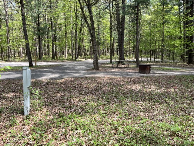 Site 21, photo 3 of 3 · from wisconsin.goingtocamp.com (the park's booking system)