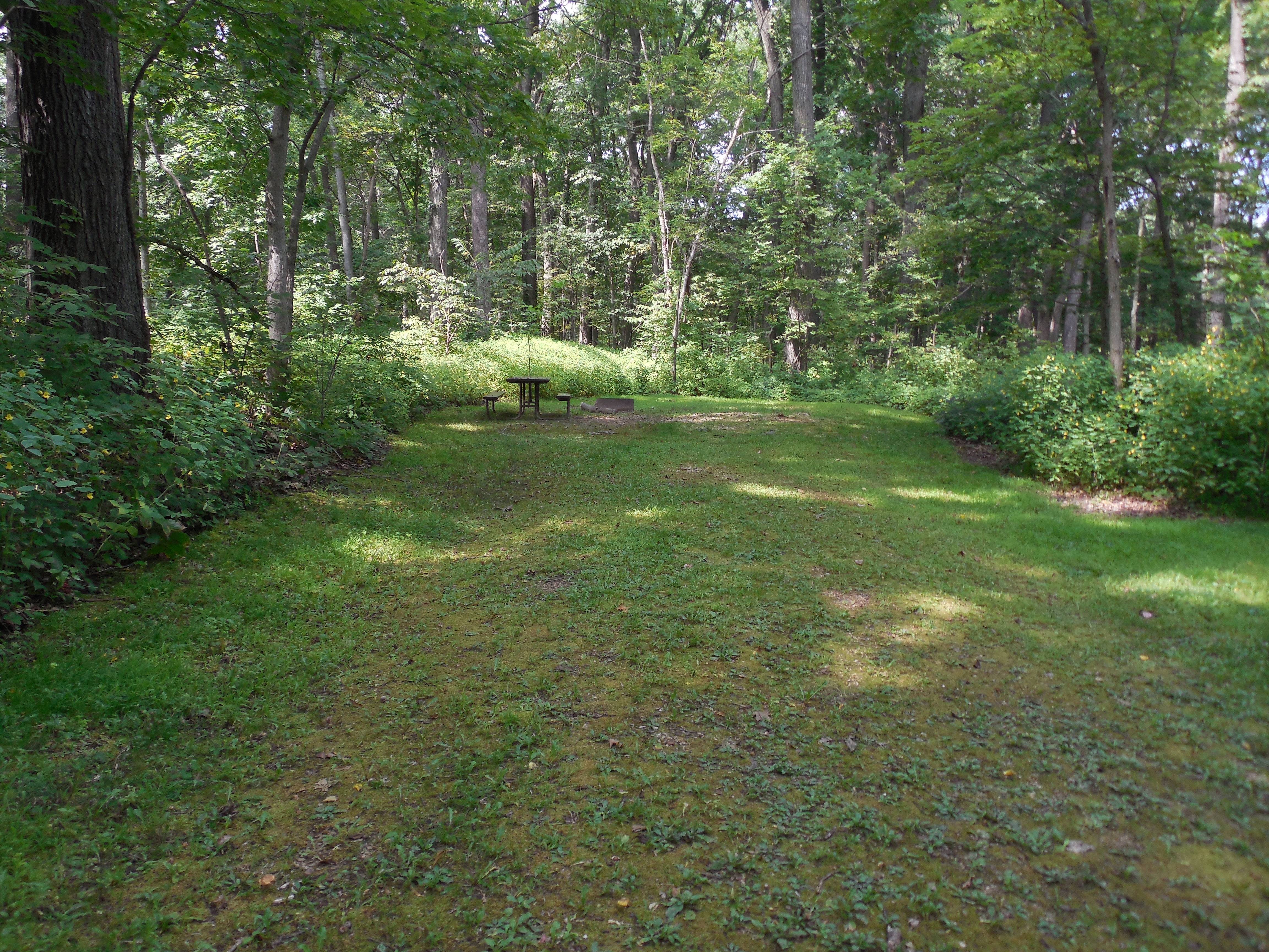 Site 40, photo 2 of 3 · from wisconsin.goingtocamp.com (the park's booking system)