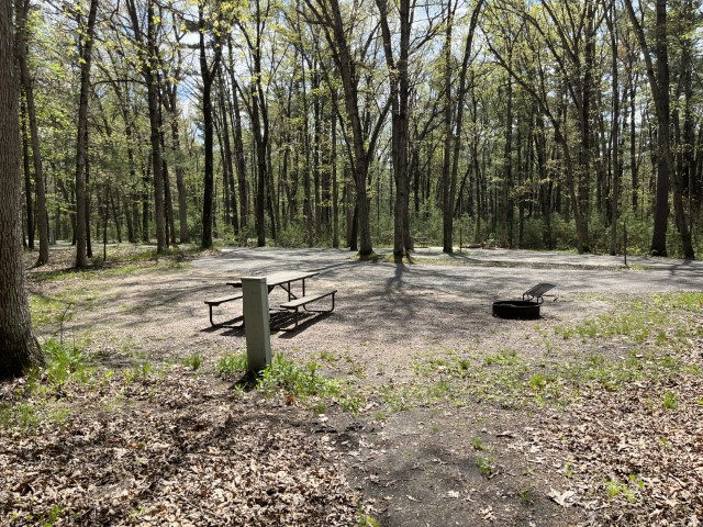 Site 9, photo 3 of 3 · from wisconsin.goingtocamp.com (the park's booking system)
