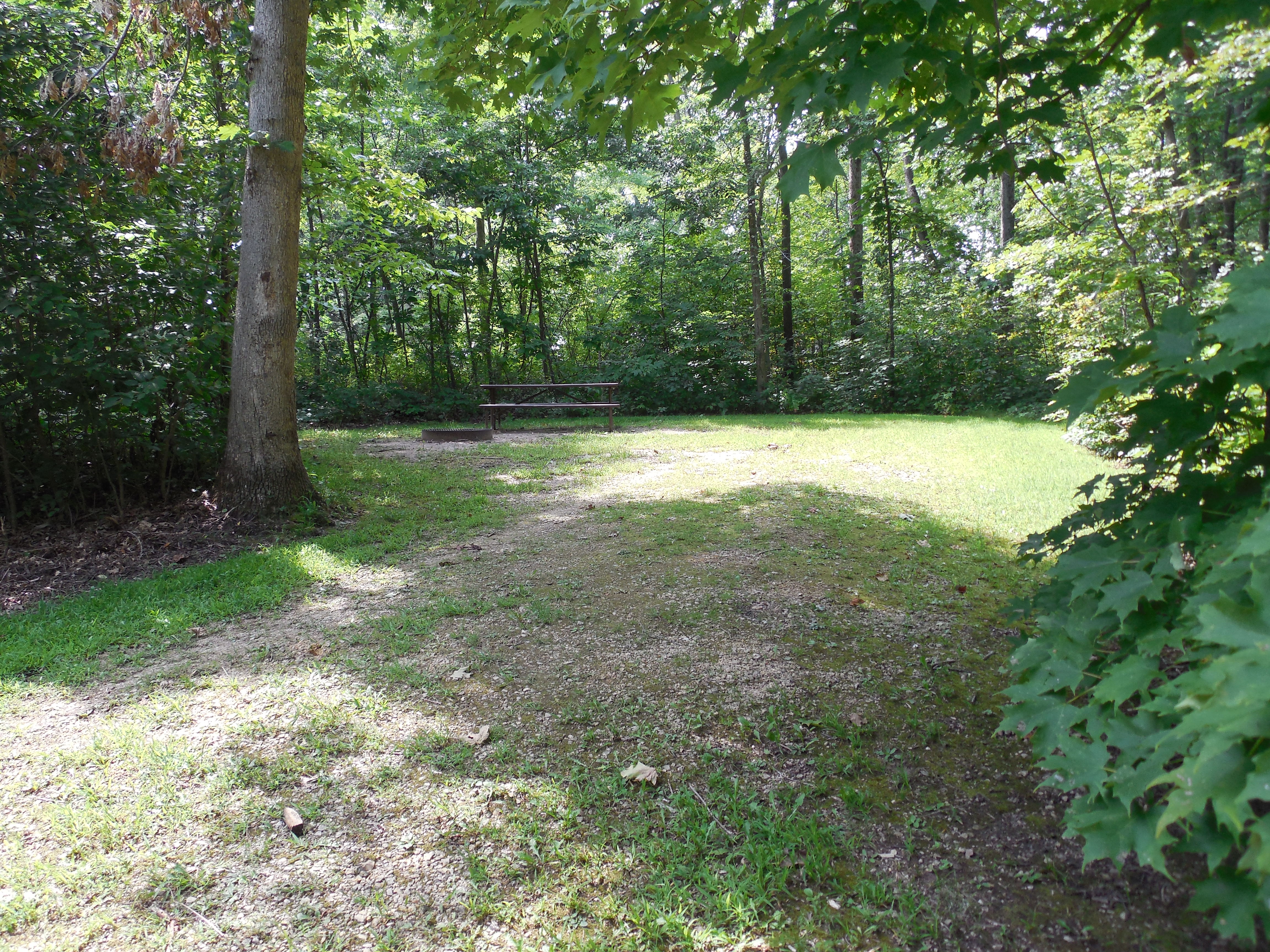Site 33, photo 2 of 3 · from wisconsin.goingtocamp.com (the park's booking system)
