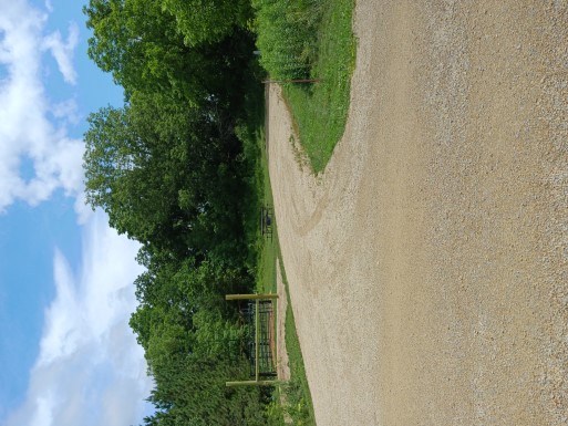 Site 770, photo 2 of 3 · from wisconsin.goingtocamp.com (the park's booking system)