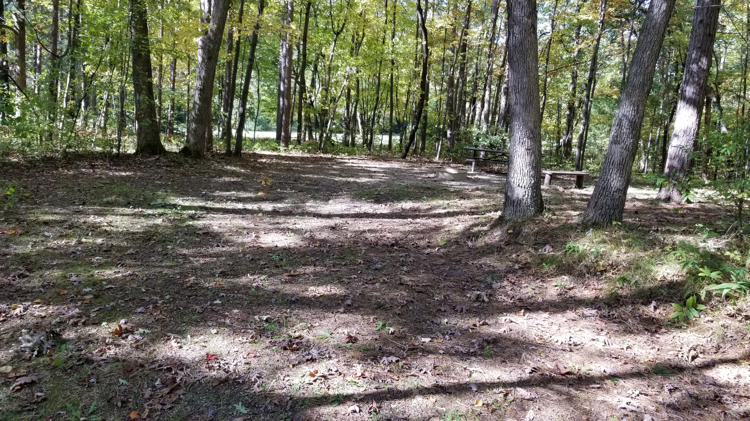 Site 3, photo 2 of 4 · from wisconsin.goingtocamp.com (the park's booking system)