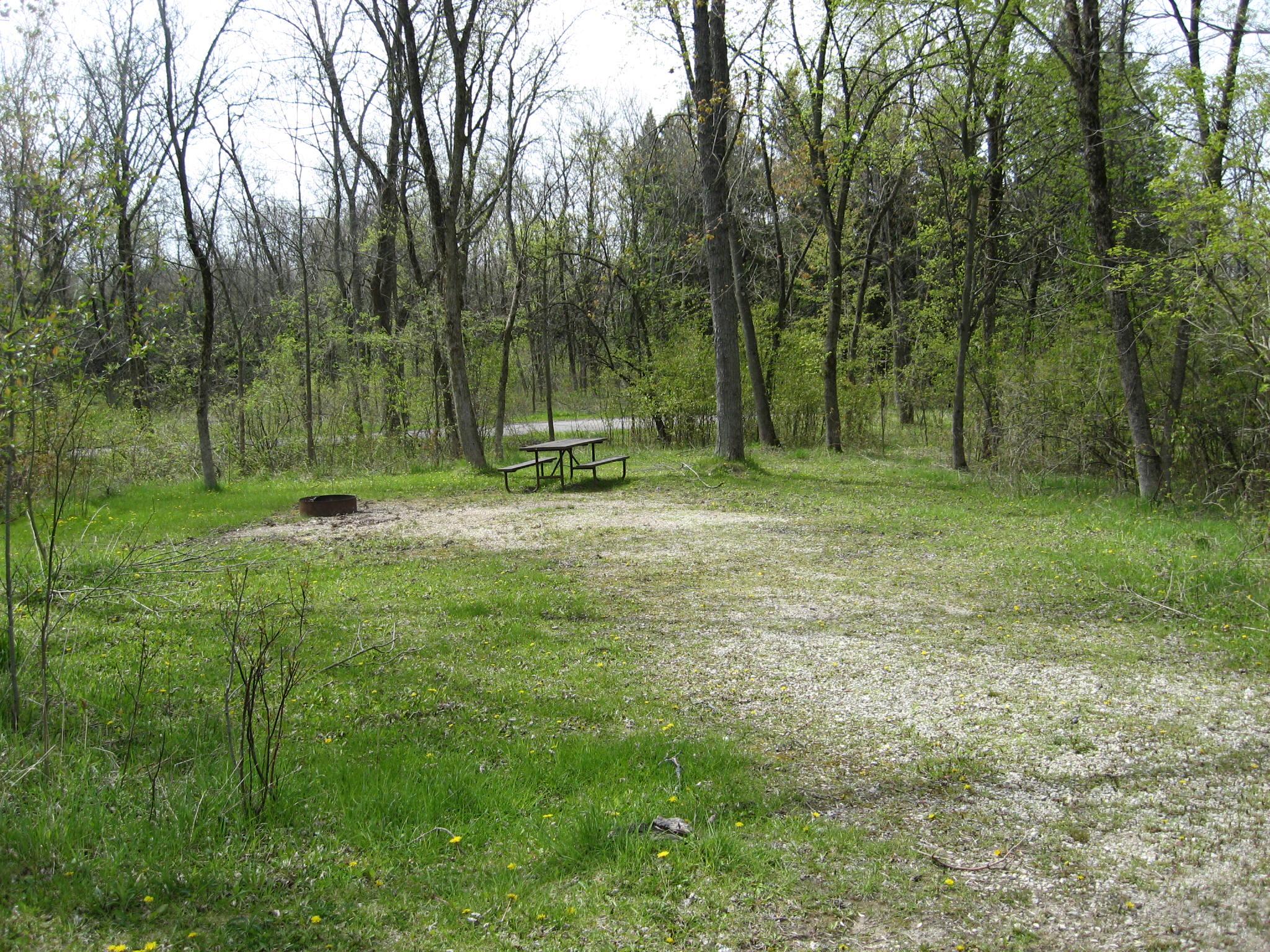 Site 632, photo 2 of 2 · from wisconsin.goingtocamp.com (the park's booking system)