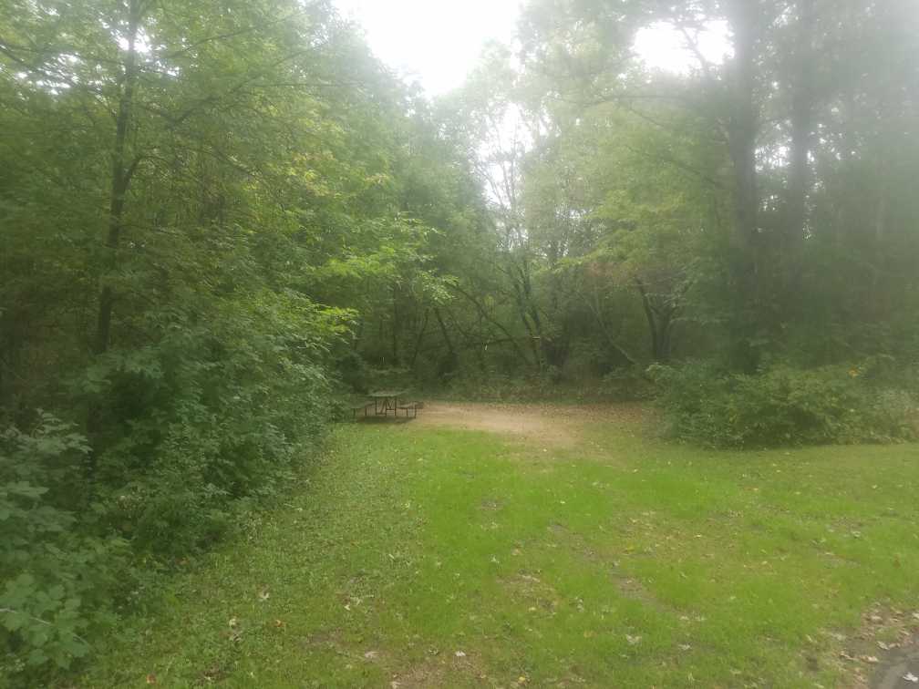 Site 12, photo 2 of 2 · from wisconsin.goingtocamp.com (the park's booking system)