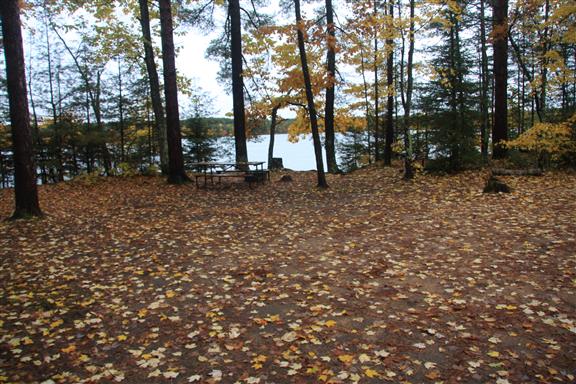 Site 429, photo 3 of 3 · from wisconsin.goingtocamp.com (the park's booking system)