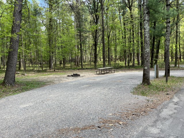Site 20, photo 2 of 3 · from wisconsin.goingtocamp.com (the park's booking system)
