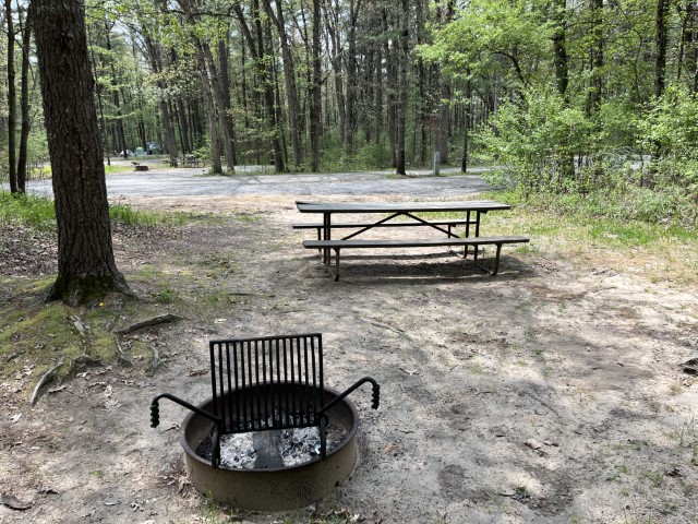 Site 11, photo 3 of 3 · from wisconsin.goingtocamp.com (the park's booking system)
