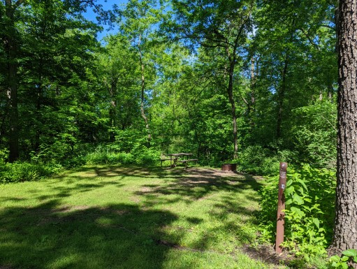 Site 14, photo 2 of 3 · from wisconsin.goingtocamp.com (the park's booking system)