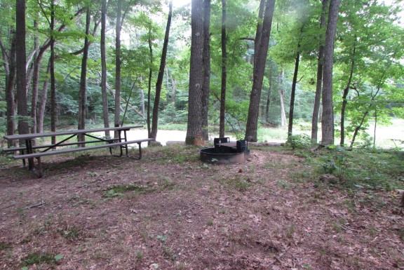 Site 5, photo 2 of 4 · from wisconsin.goingtocamp.com (the park's booking system)