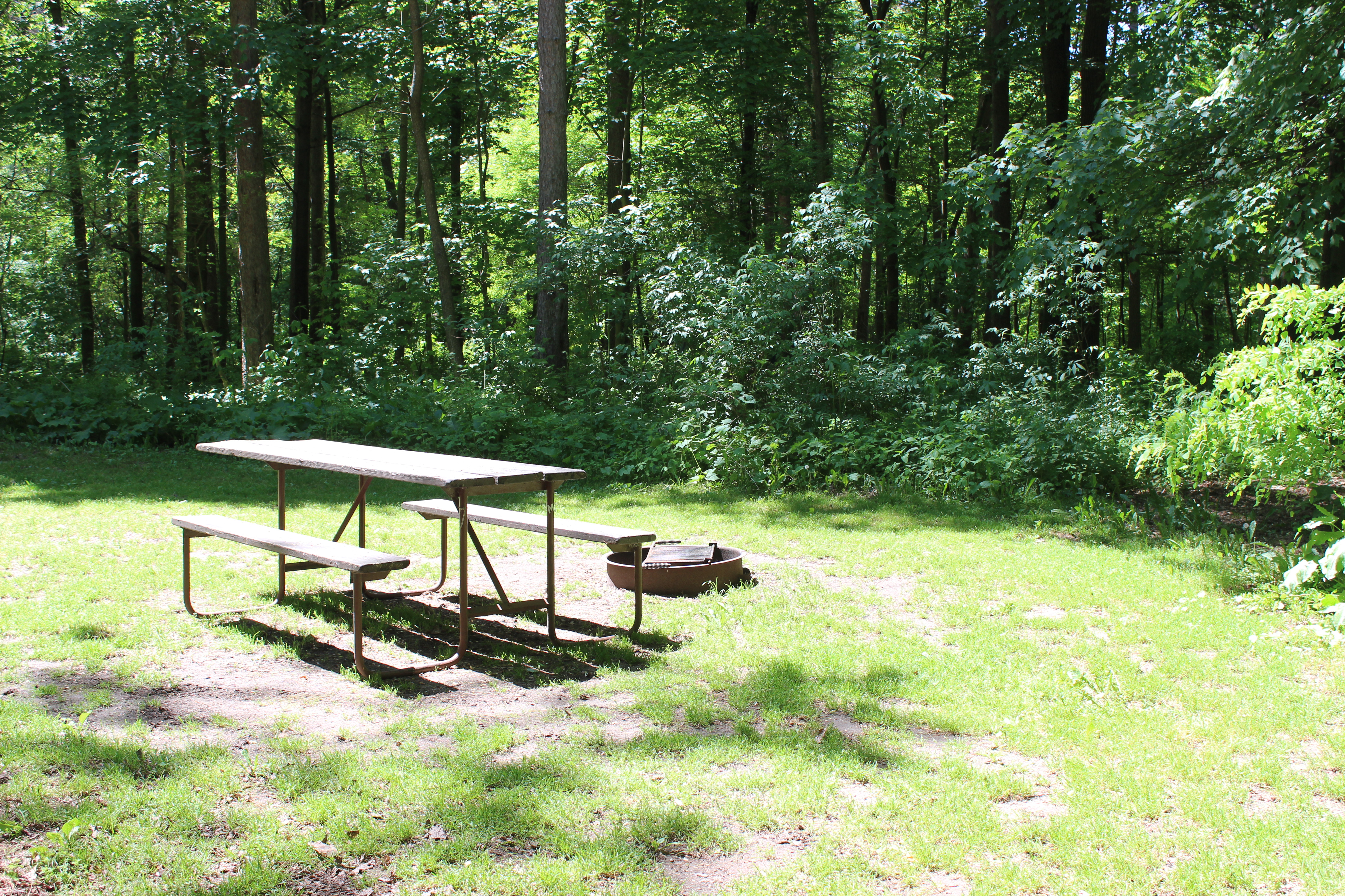 Site 7, photo 3 of 4 · from wisconsin.goingtocamp.com (the park's booking system)