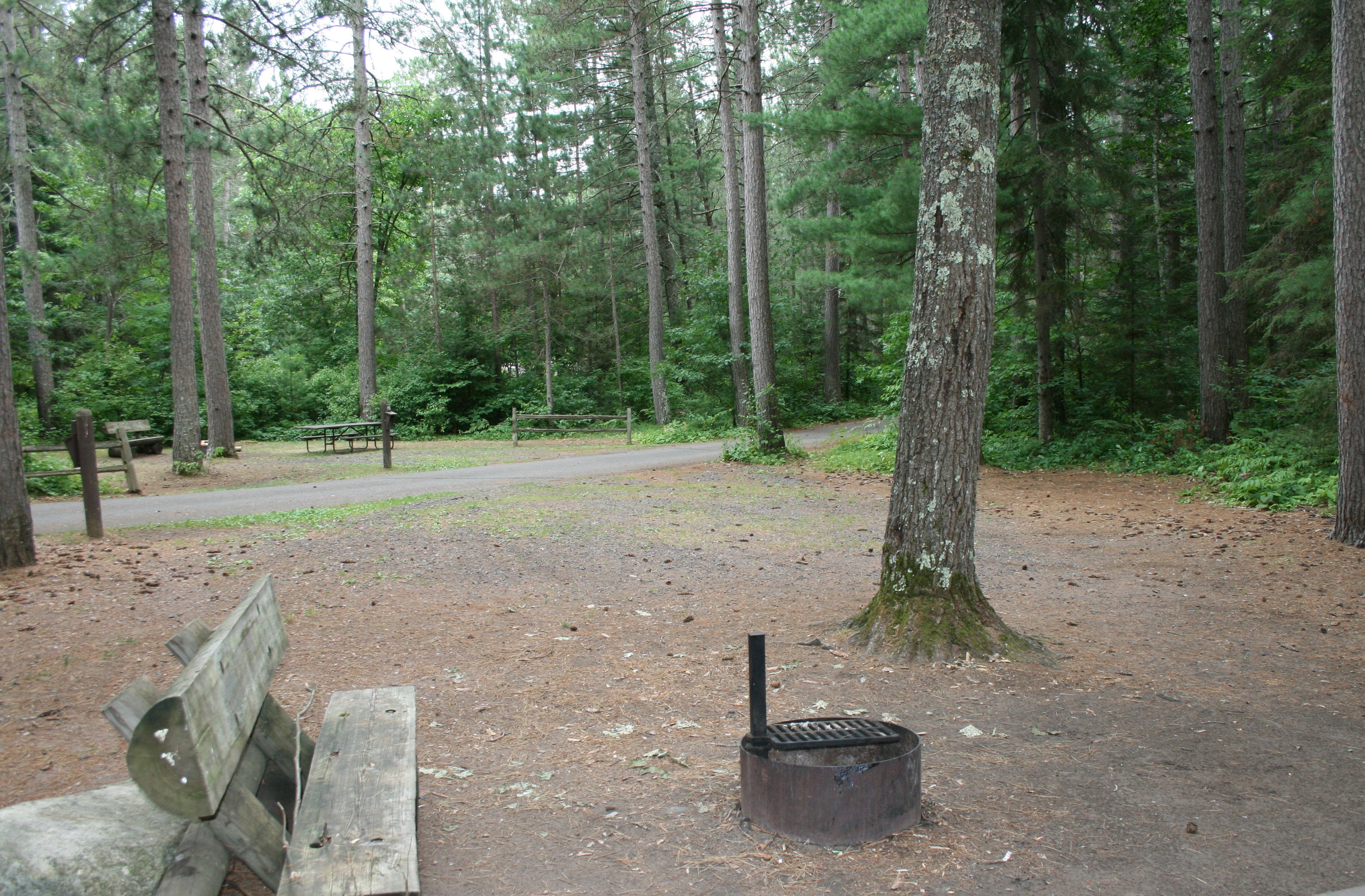Site 14, photo 3 of 3 · from wisconsin.goingtocamp.com (the park's booking system)