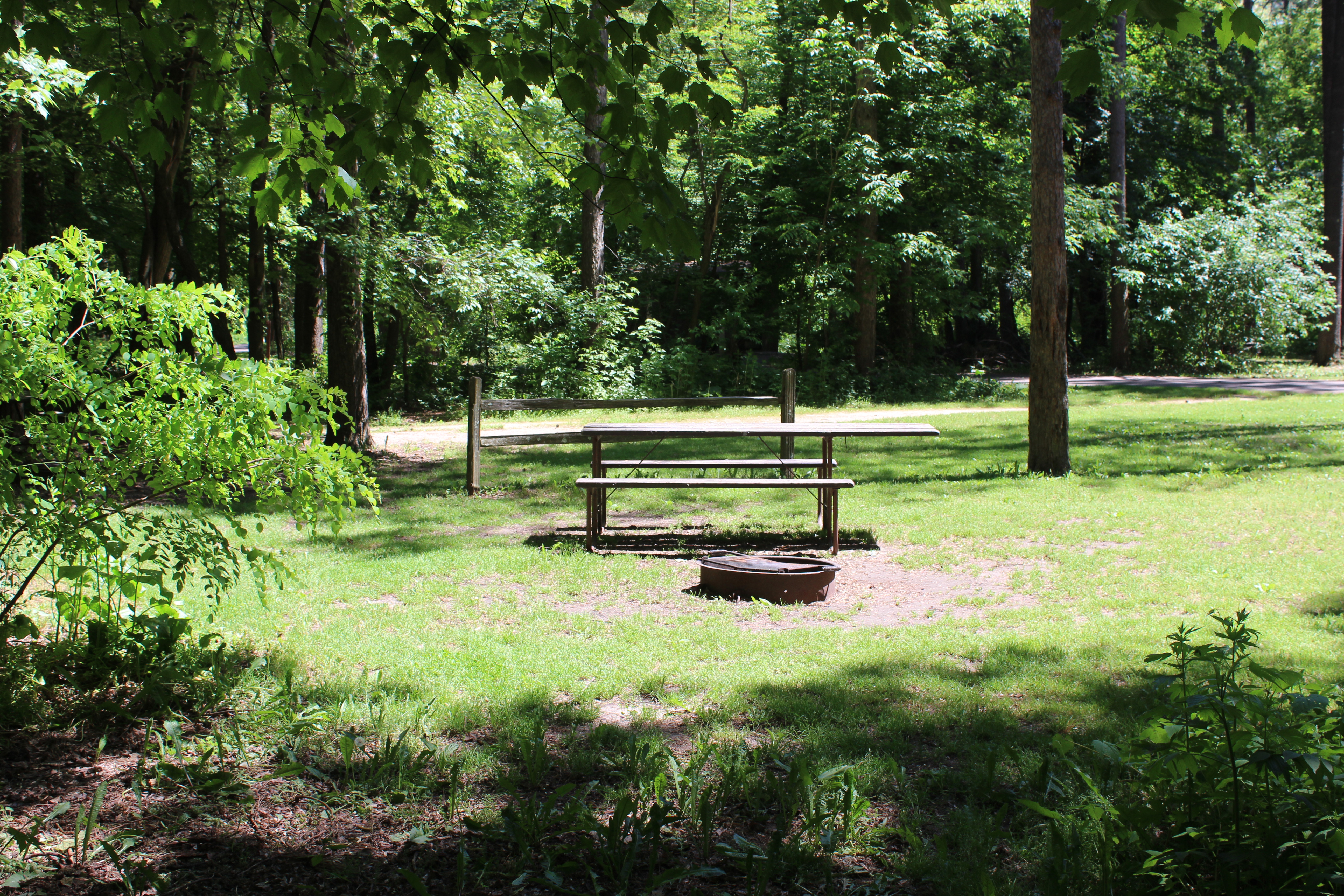 Site 7, photo 2 of 4 · from wisconsin.goingtocamp.com (the park's booking system)