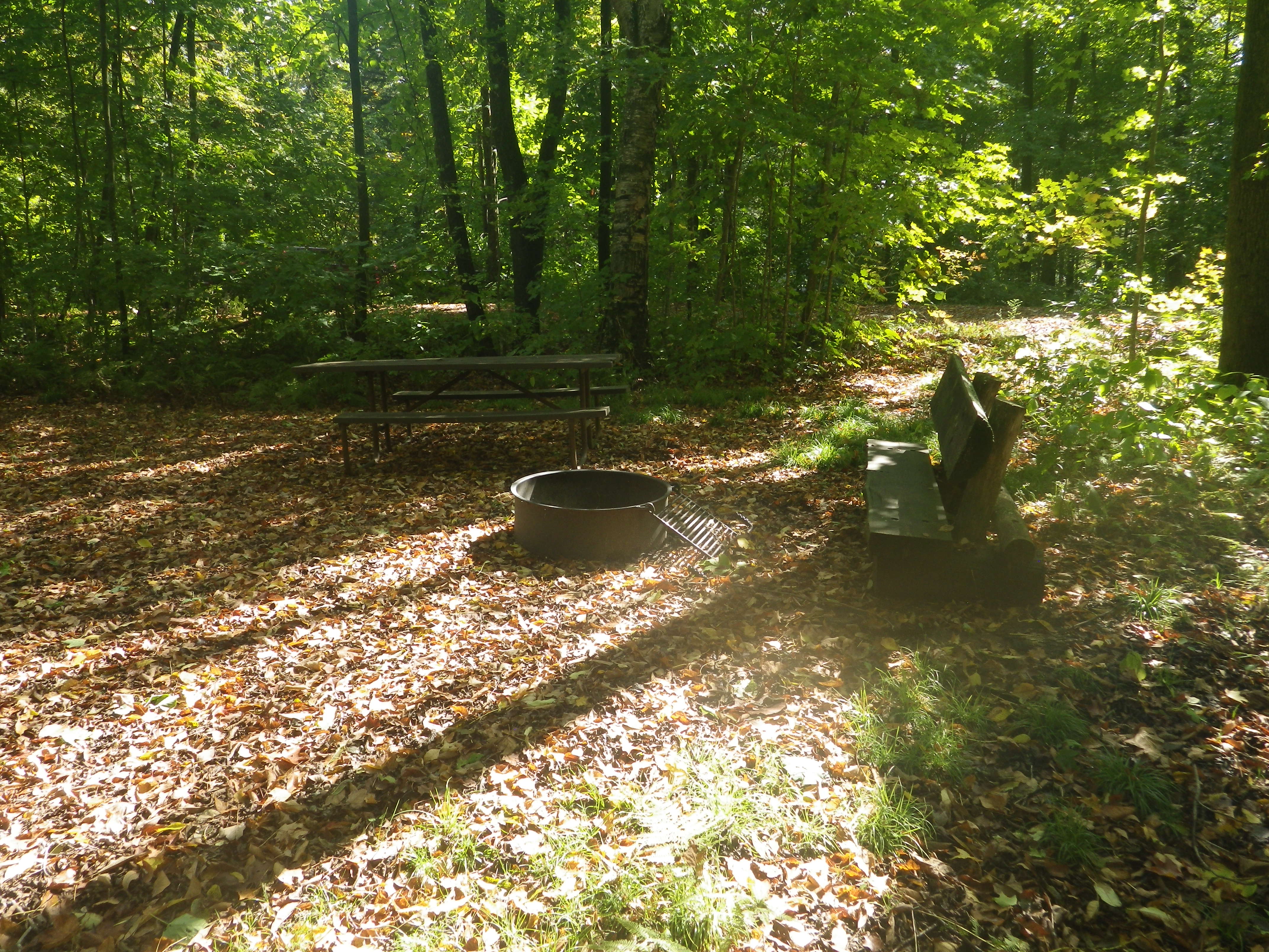 Site 115, photo 3 of 3 · from wisconsin.goingtocamp.com (the park's booking system)