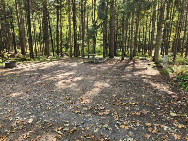 Site 3, photo 3 of 3 · from wisconsin.goingtocamp.com (the park's booking system)