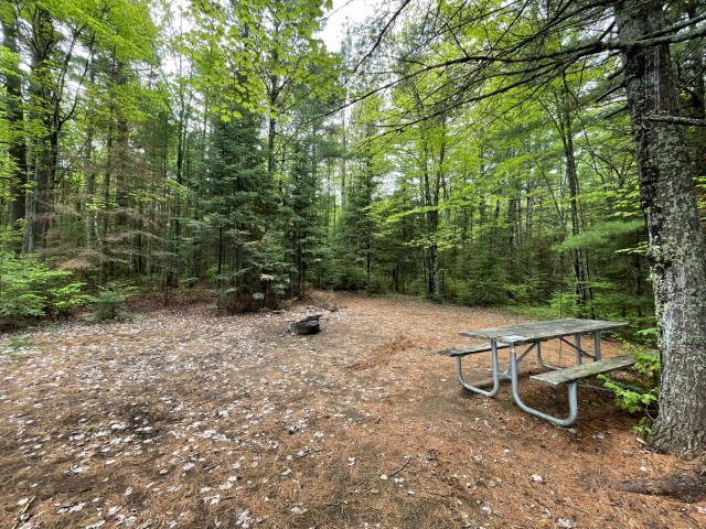 Site 28, photo 2 of 3 · from wisconsin.goingtocamp.com (the park's booking system)