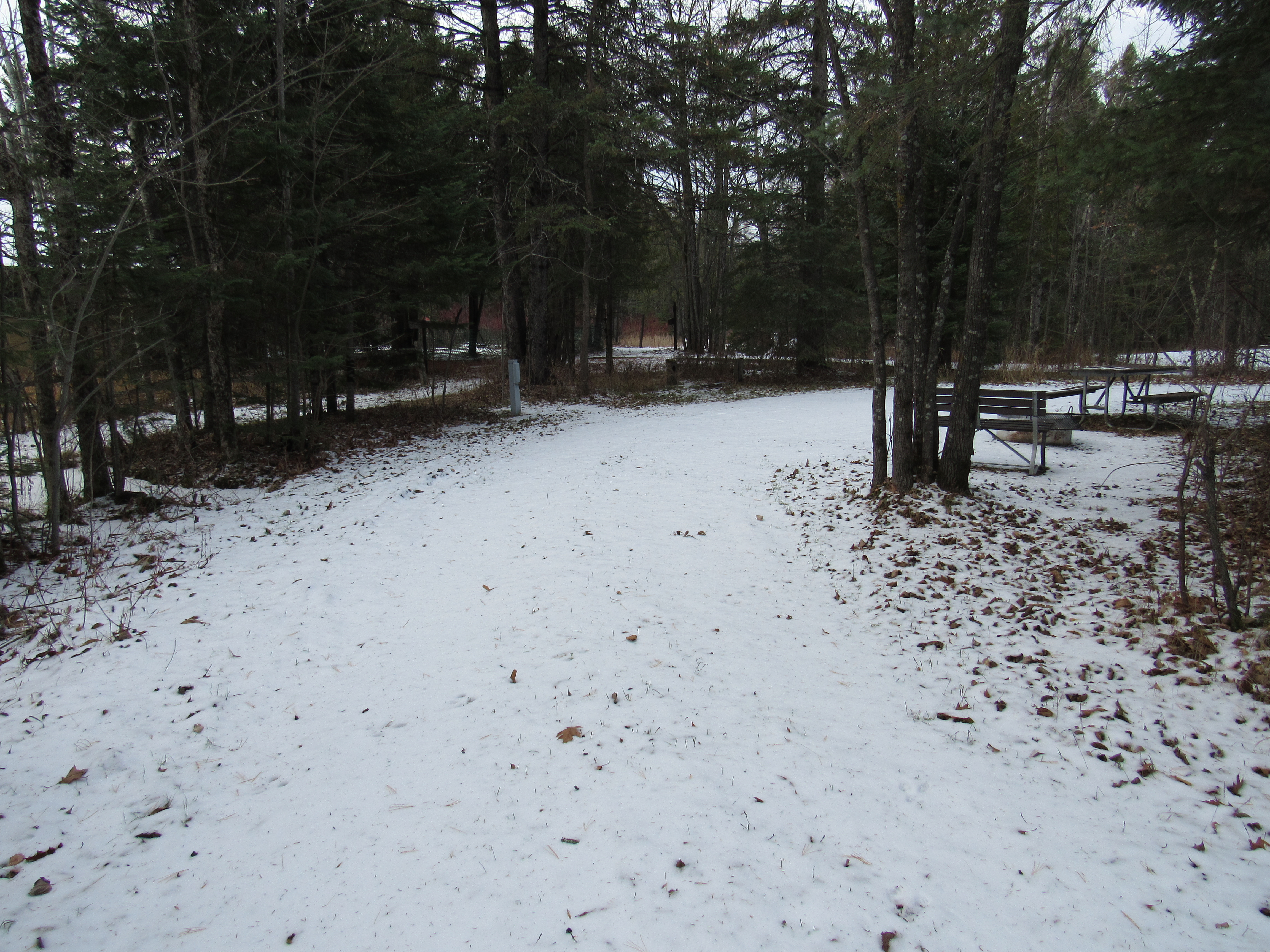 Site 54, photo 2 of 2 · from wisconsin.goingtocamp.com (the park's booking system)