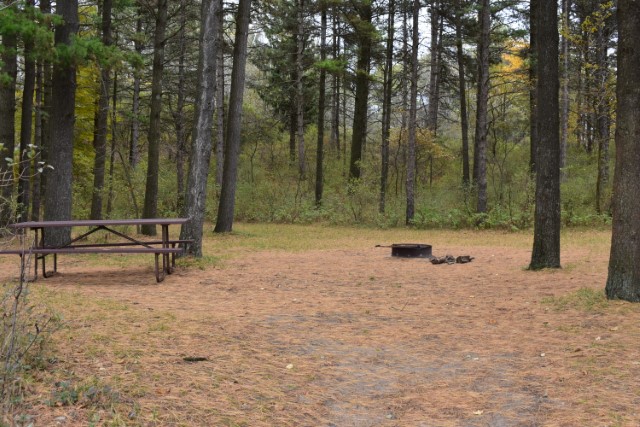 Site 44, photo 2 of 2 · from wisconsin.goingtocamp.com (the park's booking system)