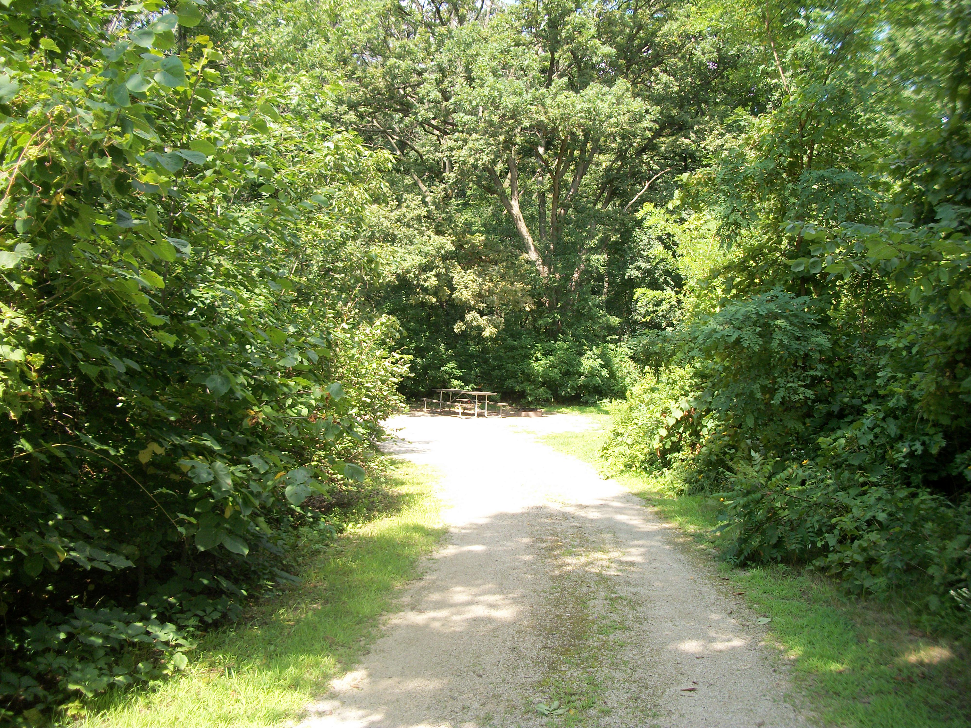 Site 329, photo 2 of 4 · from wisconsin.goingtocamp.com (the park's booking system)