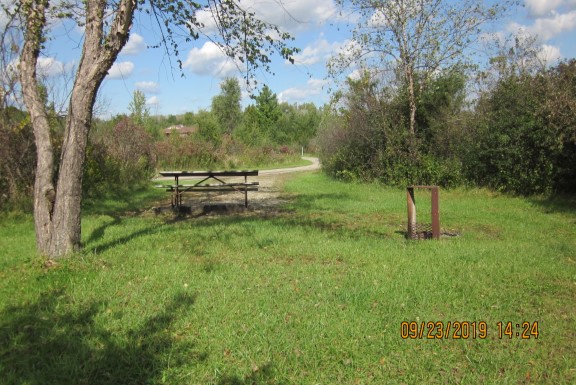 Site 446, photo 2 of 3 · from wisconsin.goingtocamp.com (the park's booking system)