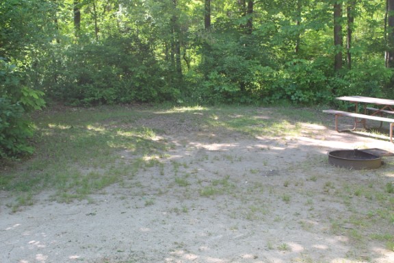 Site 59, photo 2 of 3 · from wisconsin.goingtocamp.com (the park's booking system)