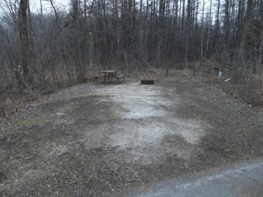 Site 401, photo 2 of 4 · from wisconsin.goingtocamp.com (the park's booking system)