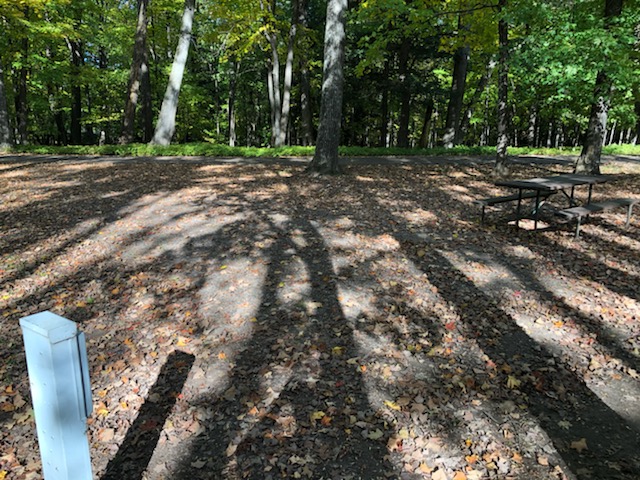 Site 5, photo 2 of 3 · from wisconsin.goingtocamp.com (the park's booking system)