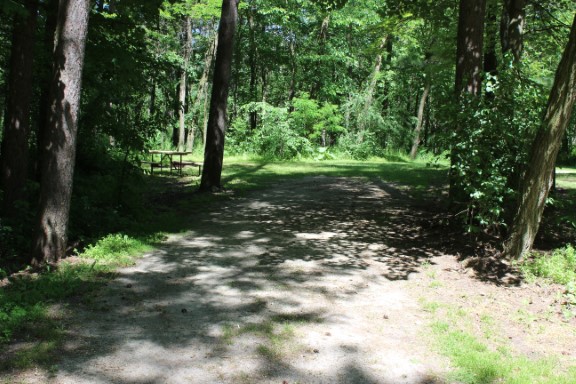 Site 5, photo 3 of 3 · from wisconsin.goingtocamp.com (the park's booking system)