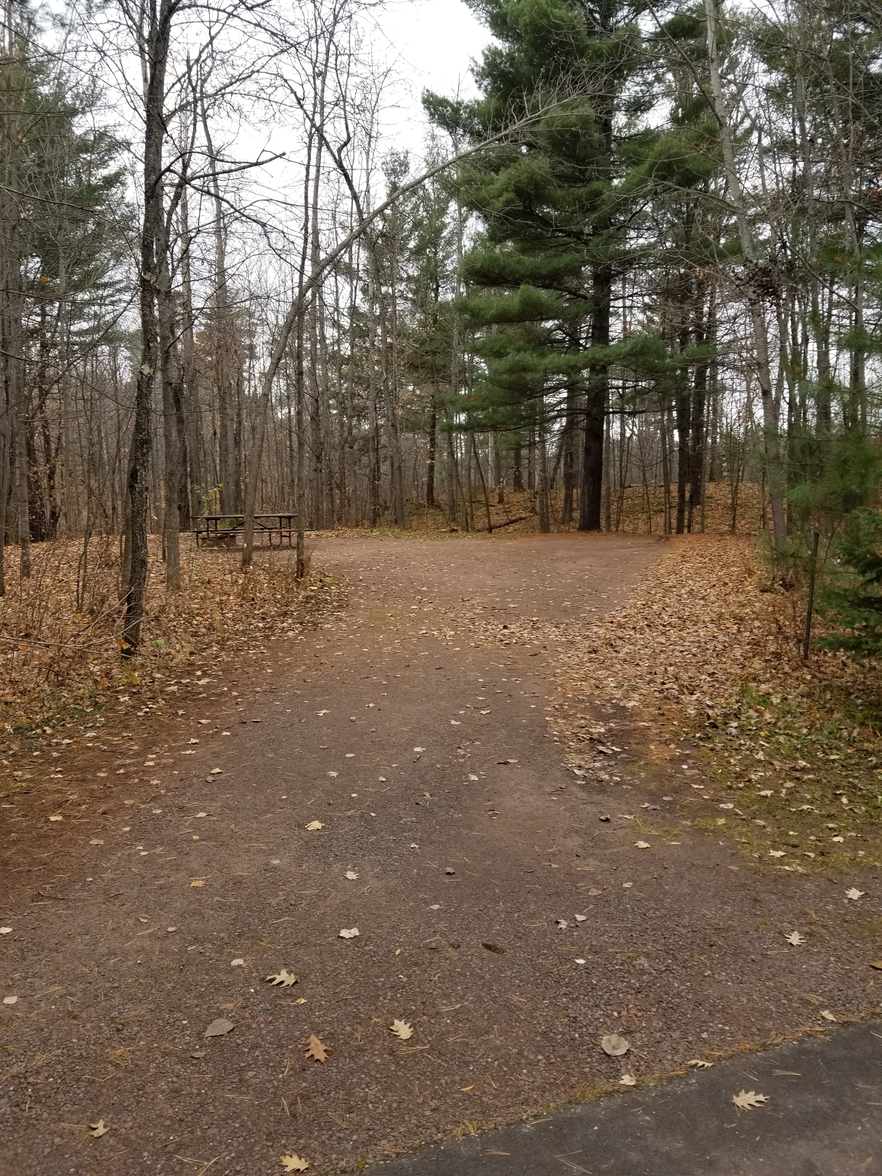 Site 24, photo 2 of 4 · from wisconsin.goingtocamp.com (the park's booking system)