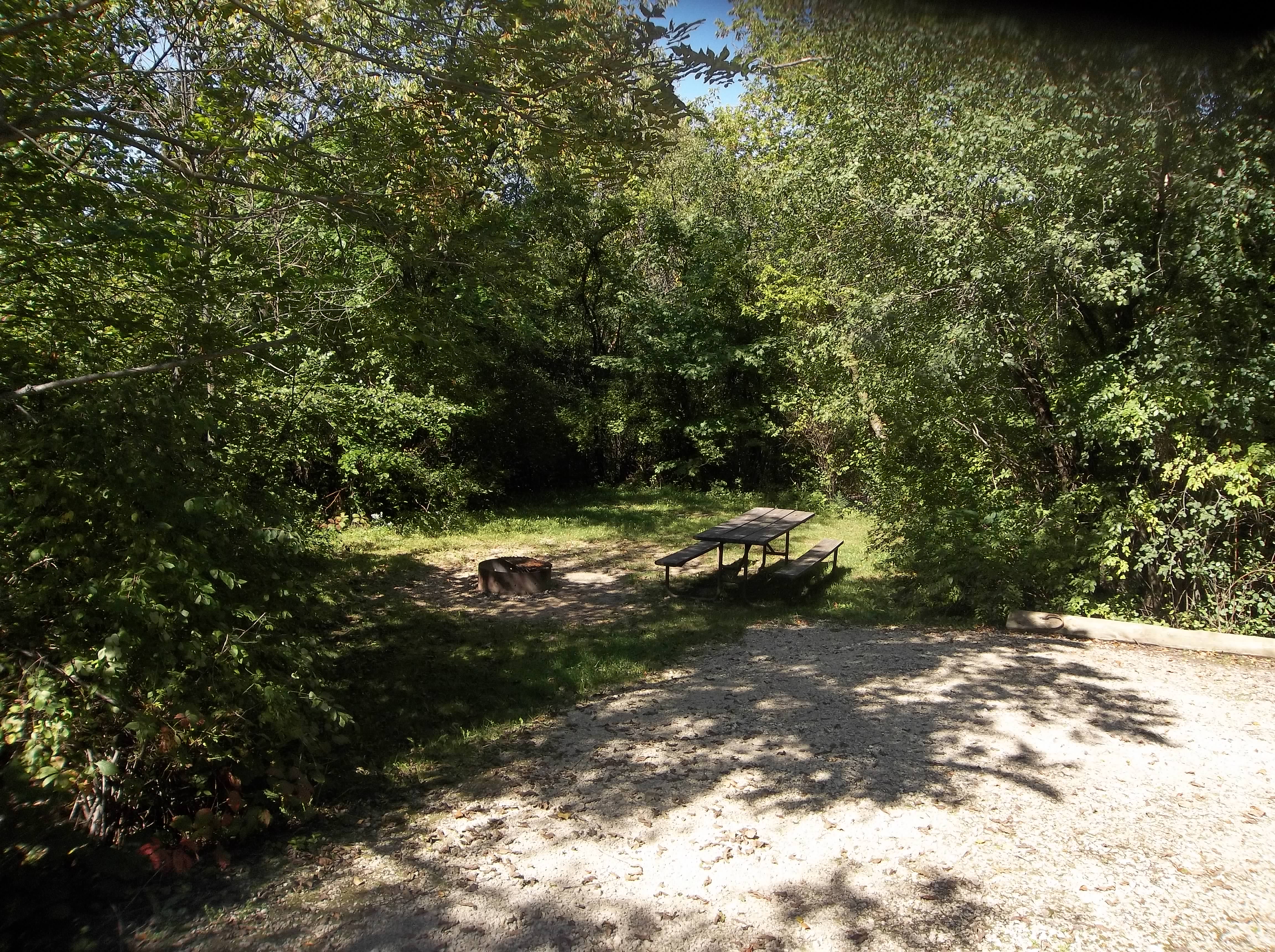 Site 603, photo 2 of 3 · from wisconsin.goingtocamp.com (the park's booking system)
