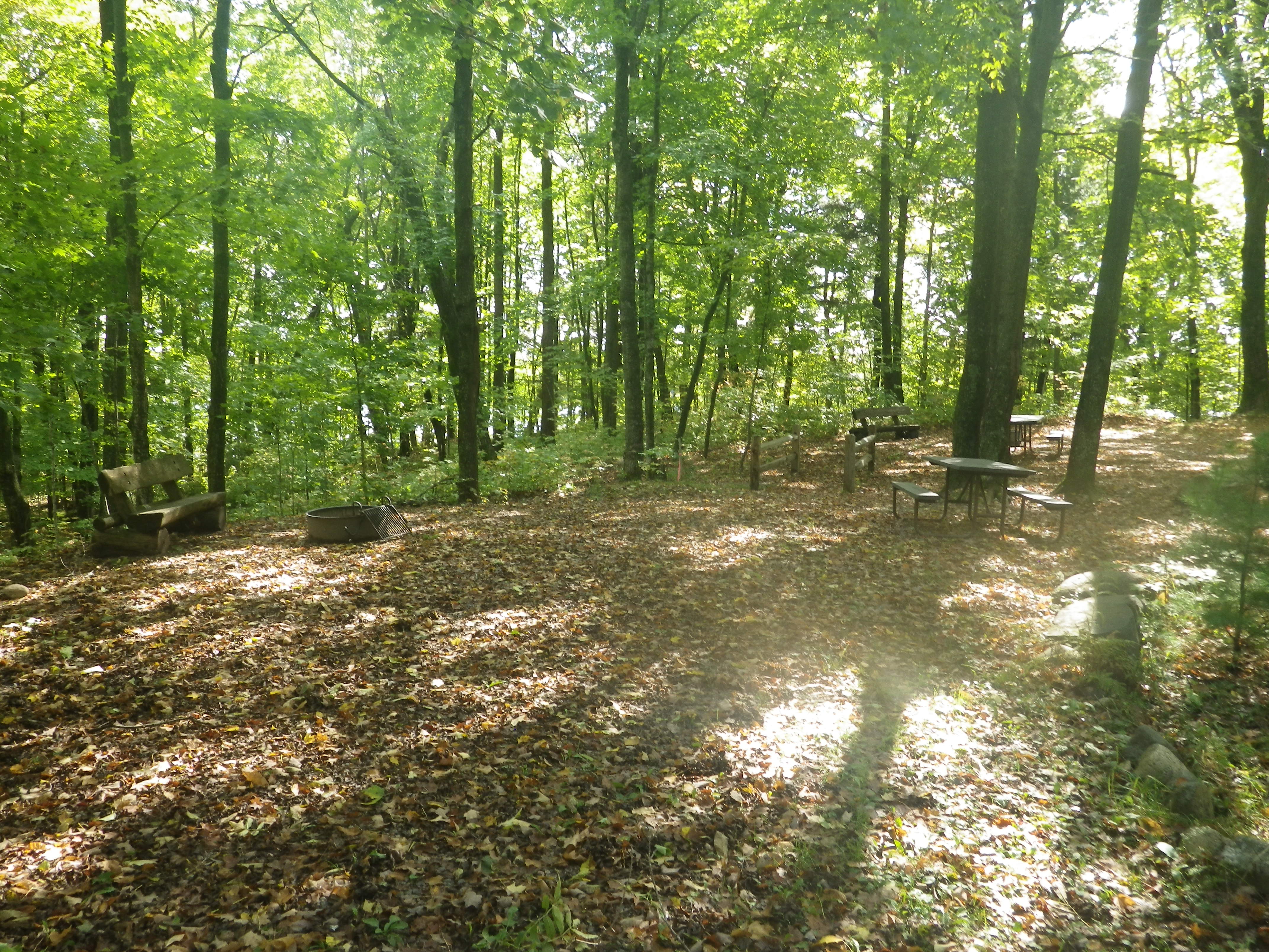Site 106, photo 2 of 3 · from wisconsin.goingtocamp.com (the park's booking system)