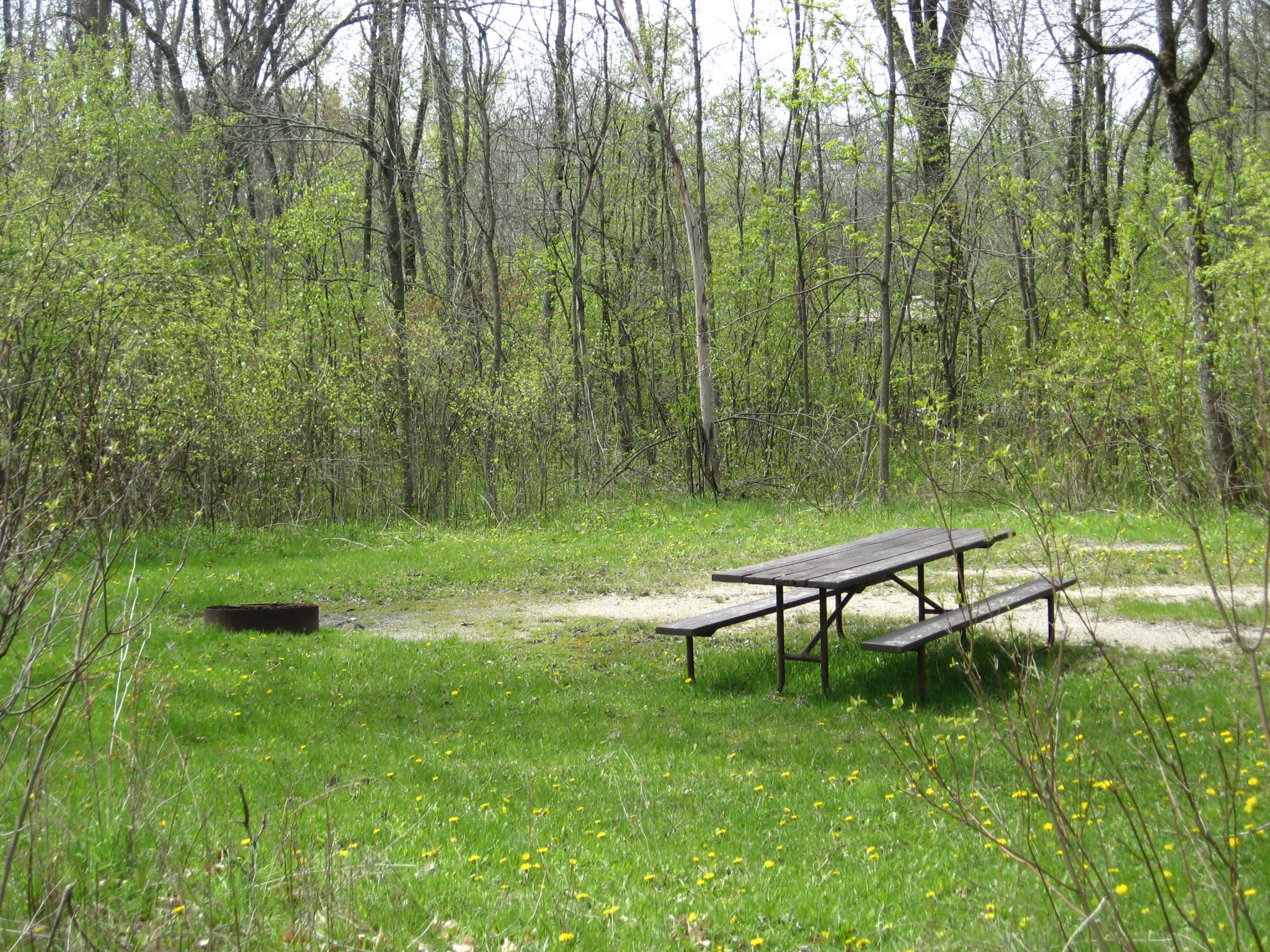 Site 636, photo 2 of 2 · from wisconsin.goingtocamp.com (the park's booking system)