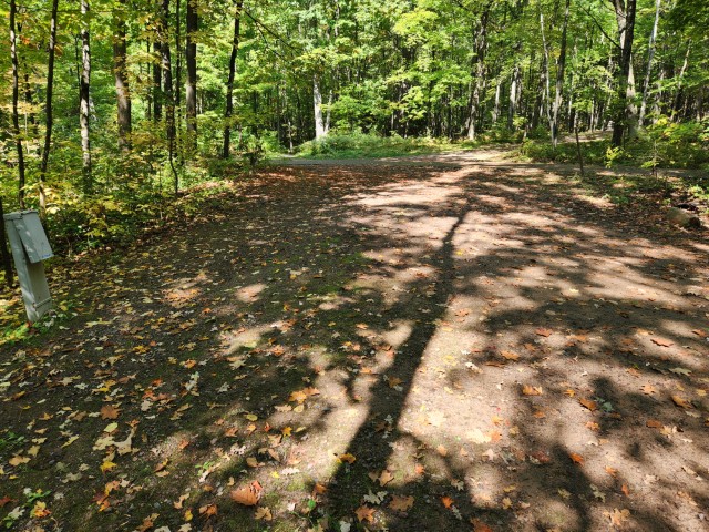 Site 21, photo 2 of 3 · from wisconsin.goingtocamp.com (the park's booking system)