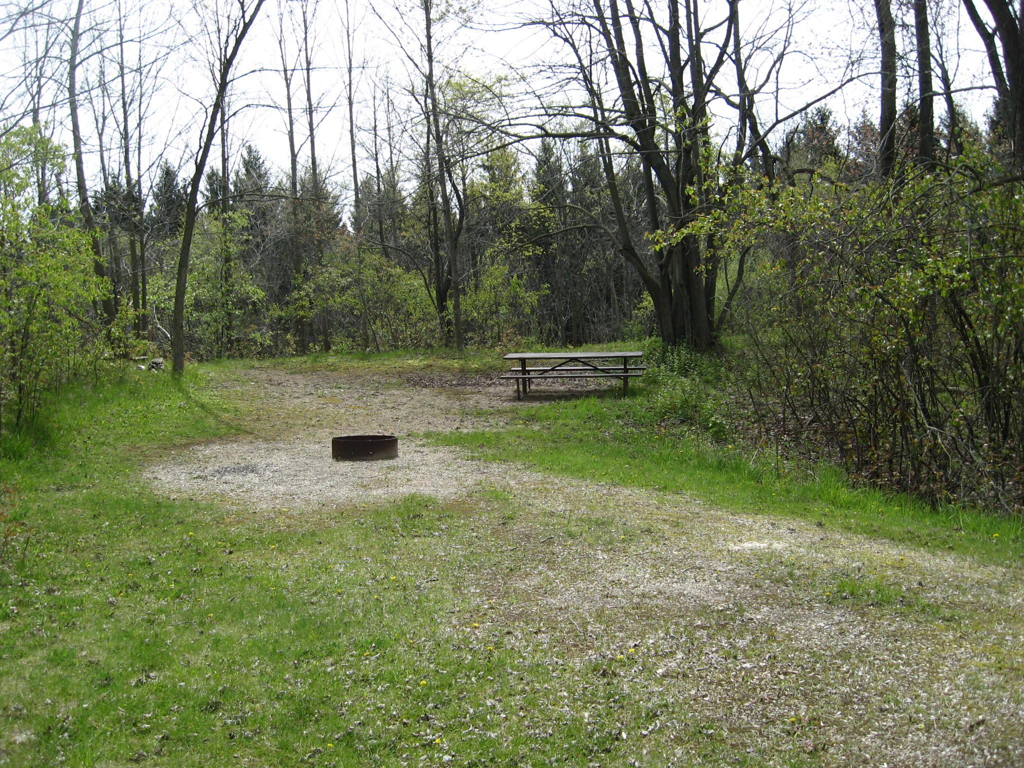 Site 851, photo 2 of 2 · from wisconsin.goingtocamp.com (the park's booking system)