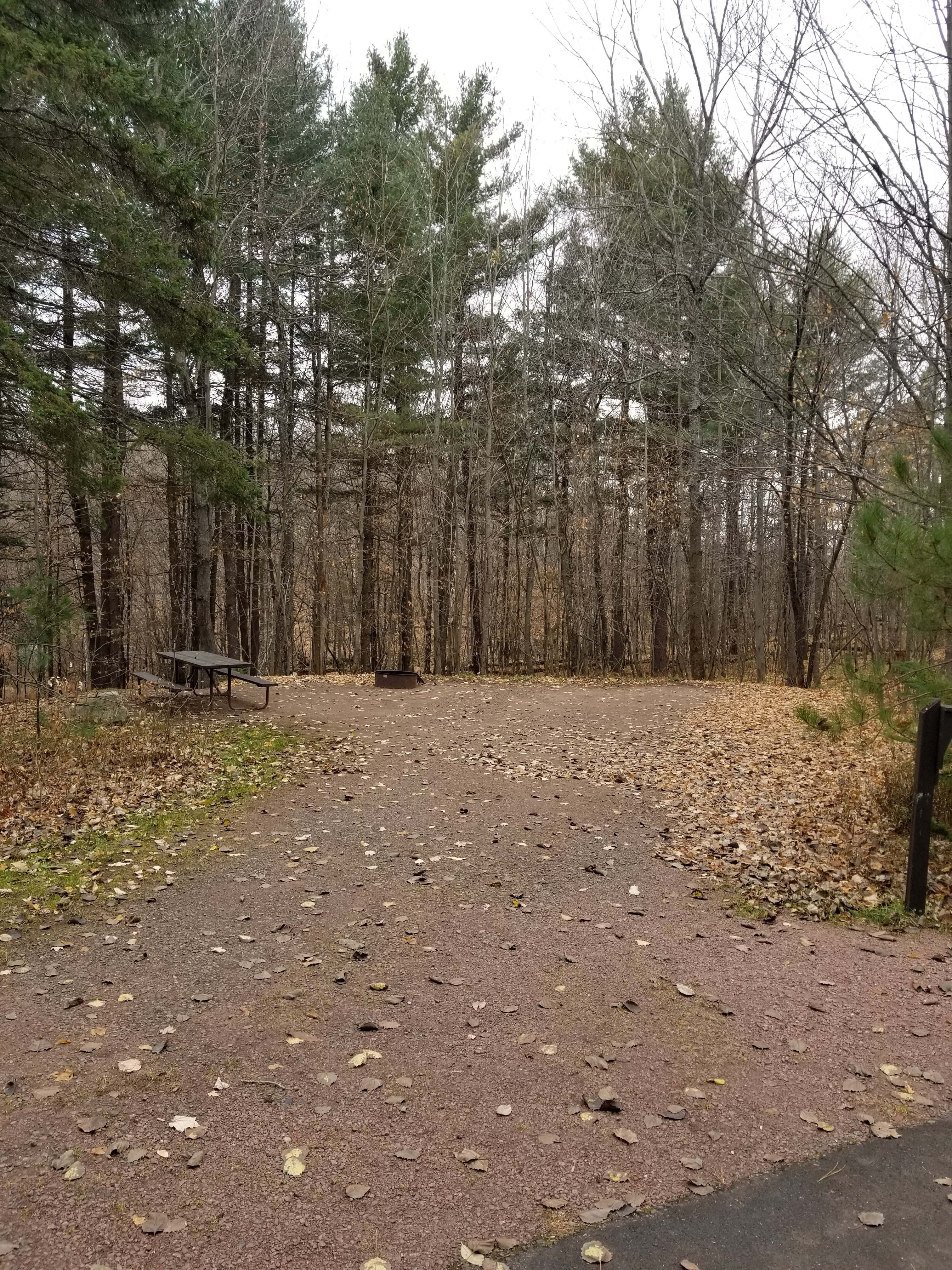 Site 28, photo 2 of 4 · from wisconsin.goingtocamp.com (the park's booking system)