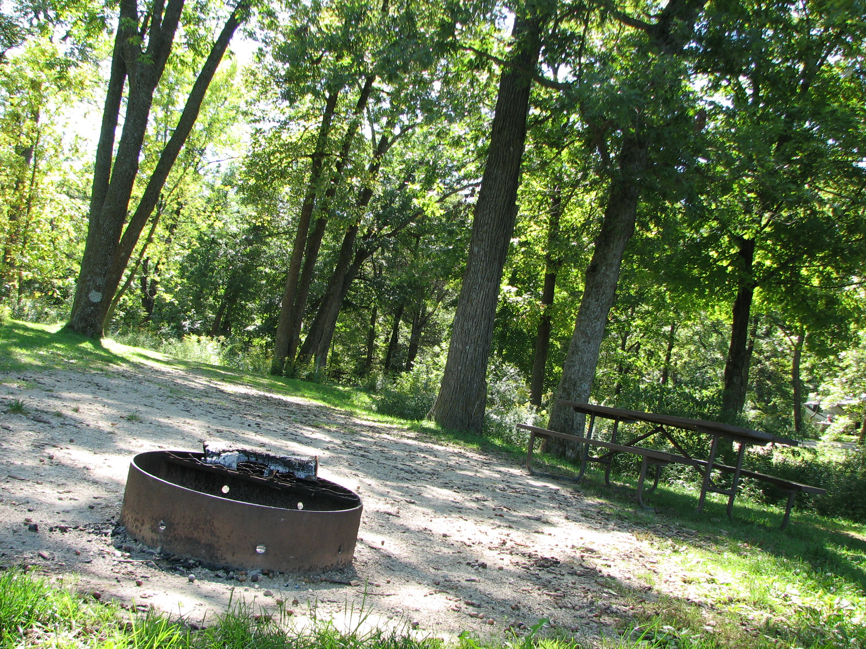 Site 148, photo 2 of 2 · from wisconsin.goingtocamp.com (the park's booking system)