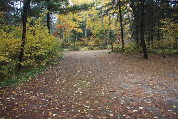 Site 450, photo 2 of 3 · from wisconsin.goingtocamp.com (the park's booking system)
